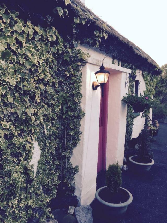 Teresas Cottage Donegal Town Luaran gambar